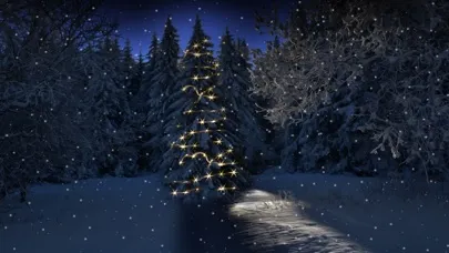 Christmas Snowfall應用截圖