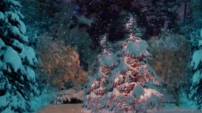 Christmas Snowfall應用截圖