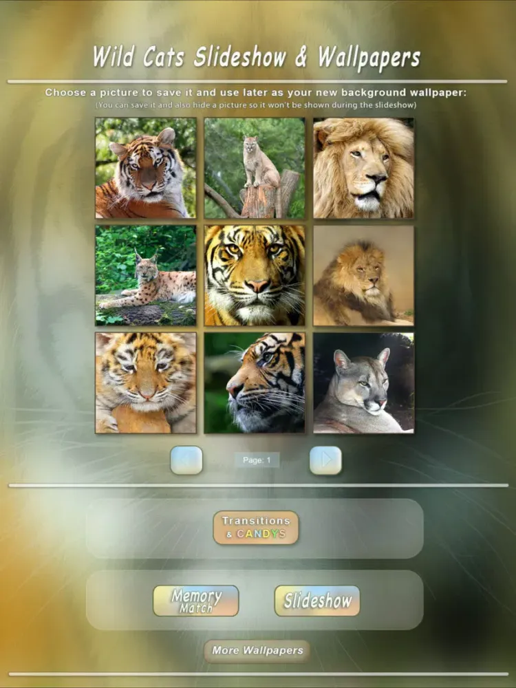 Ảnh chụp màn hình của Wild Cats Slideshow & Wallpapers iPad 