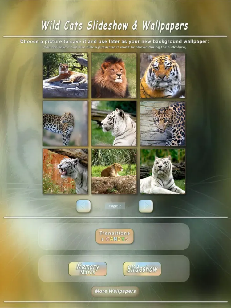 Ảnh chụp màn hình của Wild Cats Slideshow & Wallpapers iPad 