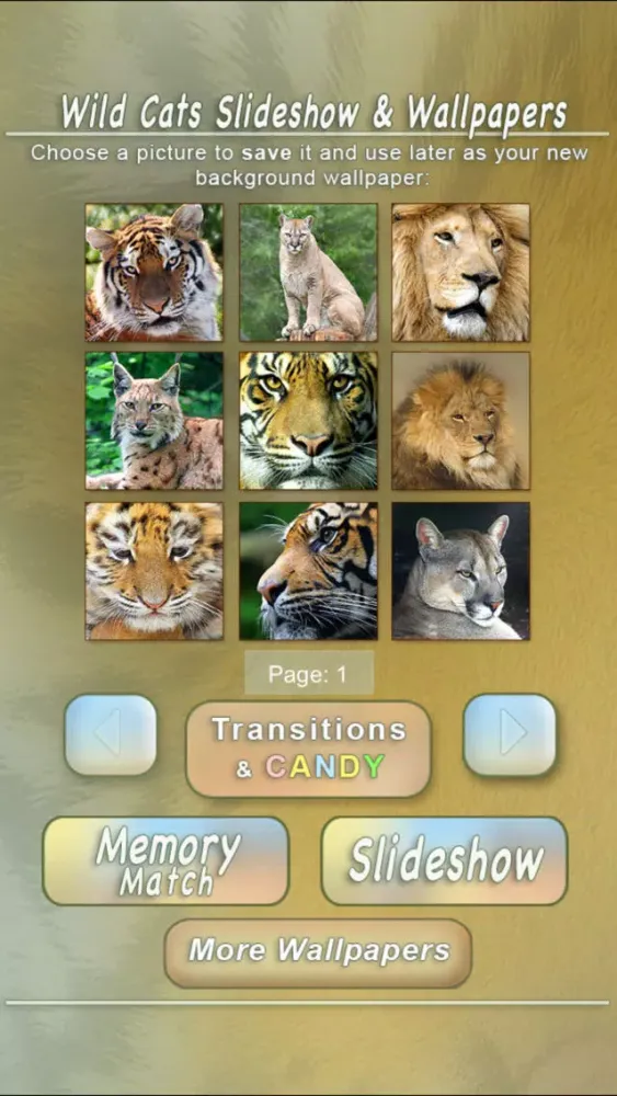 Ảnh chụp màn hình của Wild Cats Slideshow & Wallpapers