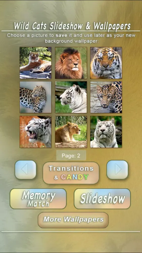 Ảnh chụp màn hình của Wild Cats Slideshow & Wallpapers