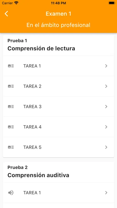 DELE C1 Spanish Examen1 স্ক্রিনশট