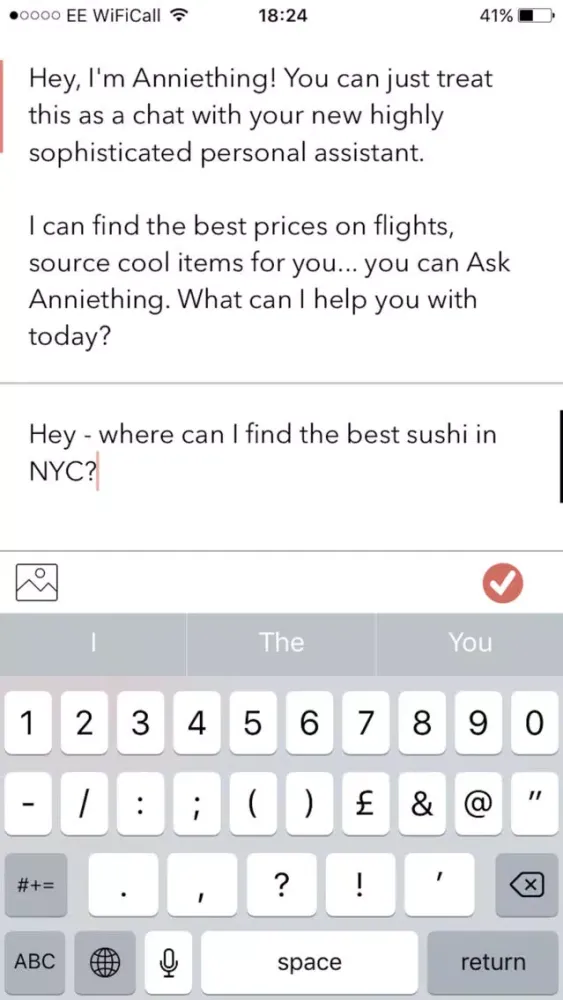 Ask AnnieThing Screenshots