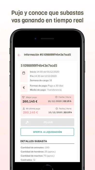 Mercopig سکرین شاٹس