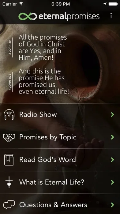 Eternal Promises স্ক্রিনশট