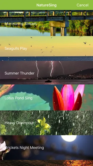 Ảnh chụp màn hình của NatureSing--Best nature sounds