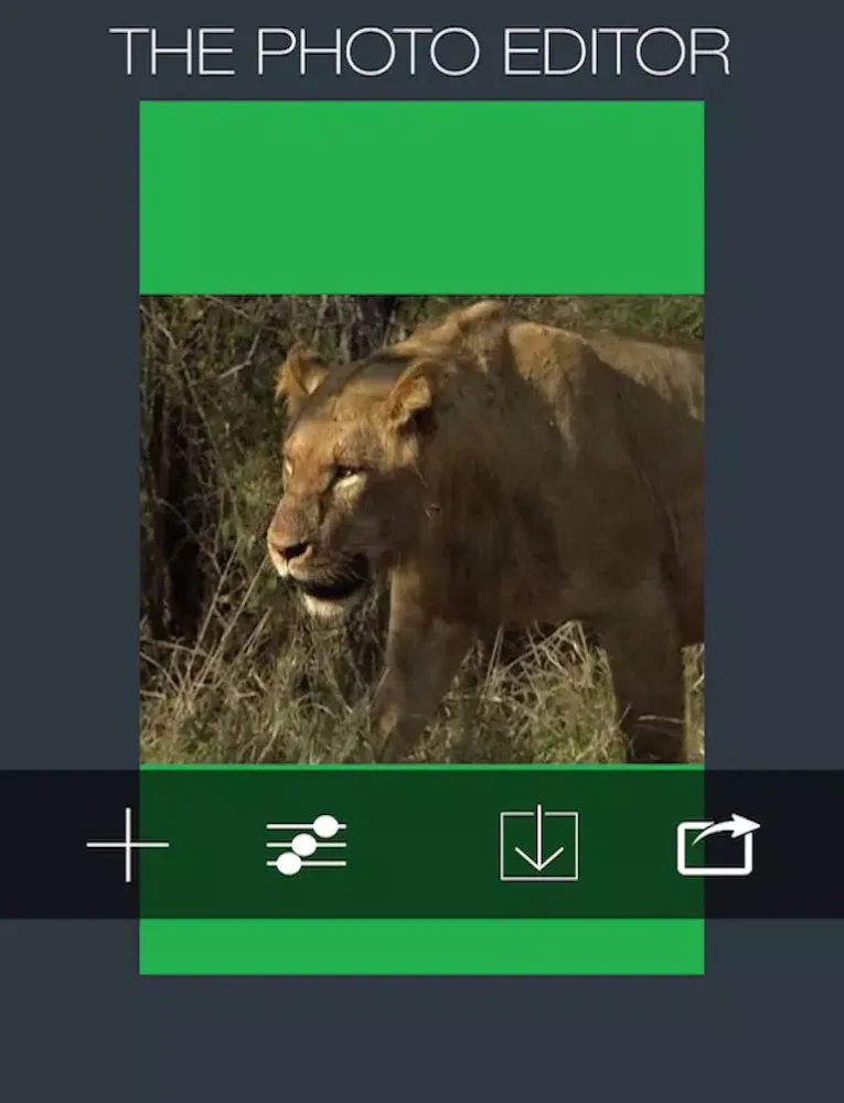 Ảnh chụp màn hình của The Photo Editor iPad 