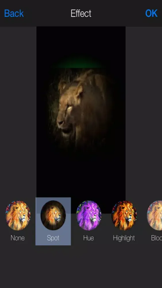 Ảnh chụp màn hình của The Photo Editor