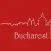 Bucharest Travel Guide.