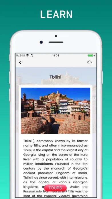 Screenshot di Georgia Travel Guide .