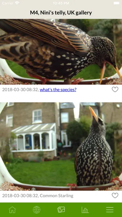 Captures d'écran de Etnobird Smart Bird Feeder