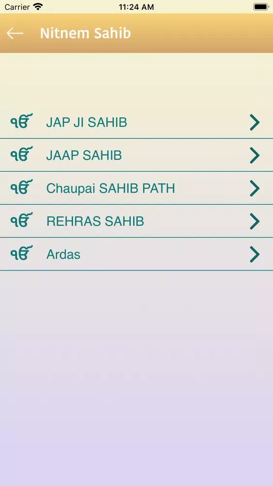 Nitnem Gutka Sahib Screenshots