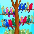 Bird Puzzle