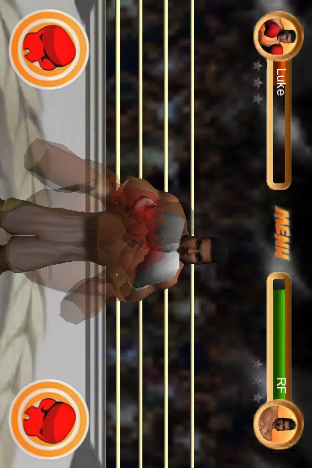 Tangkapan layar Hyper Punch-o-Box LITE