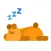 Hibernate