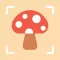 Mushroom identification ‣