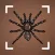 Spider identifier - Bug,insect