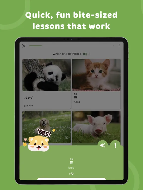 تصاویر Learn Japanese - HeyJapan iPad 