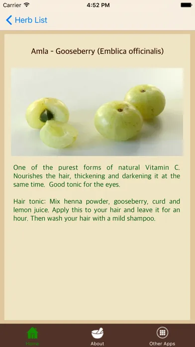 Capturas de tela do Ayurvedic Remedies - Treatment - Herbs