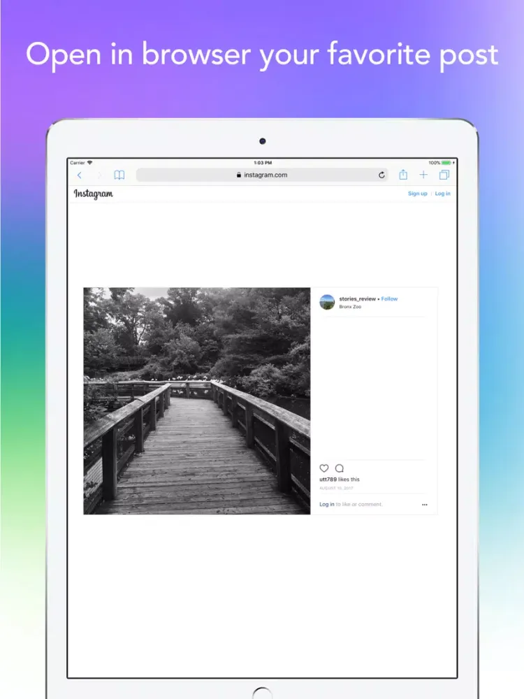 InSaver for Instagram iPad  স্ক্রিনশট