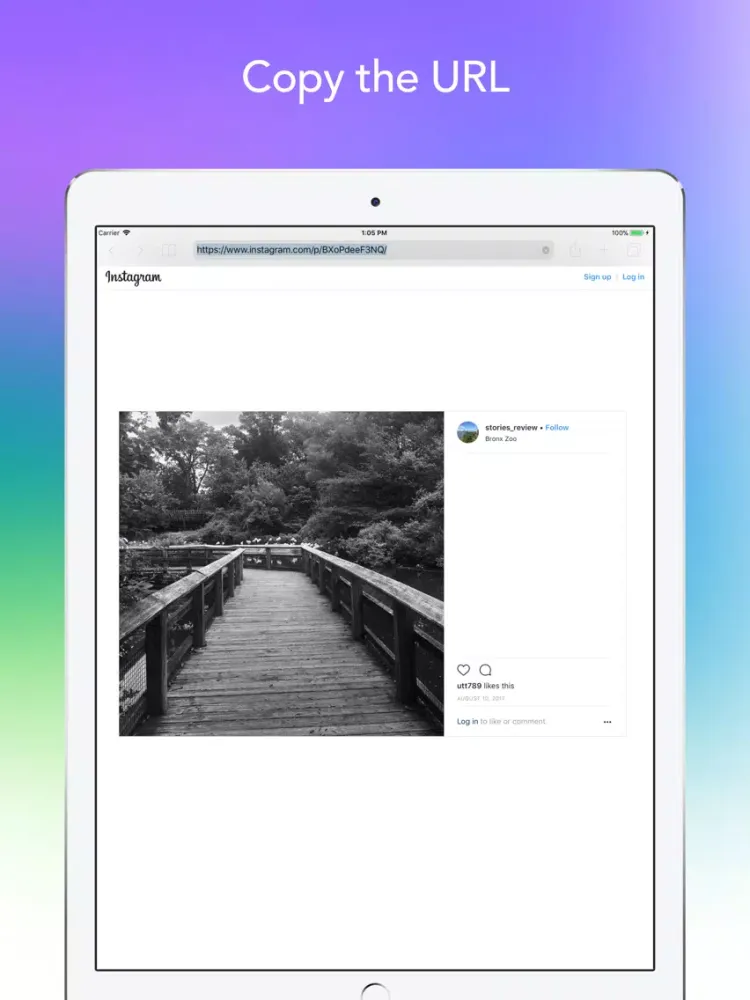 InSaver for Instagram iPad  স্ক্রিনশট