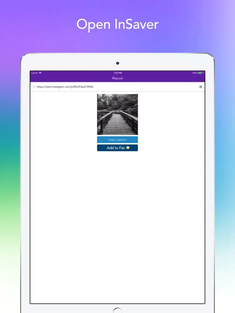InSaver for Instagram iPad  স্ক্রিনশট