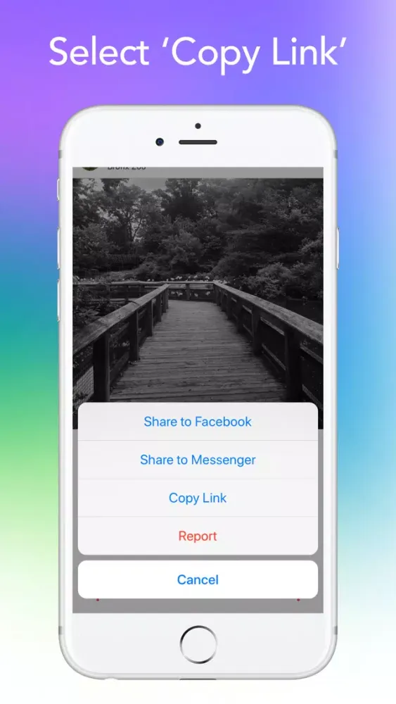 InSaver for Instagram স্ক্রিনশট