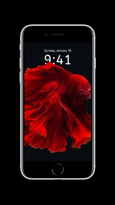 Captures d'écran de Depth Wallpaper & Live Effect