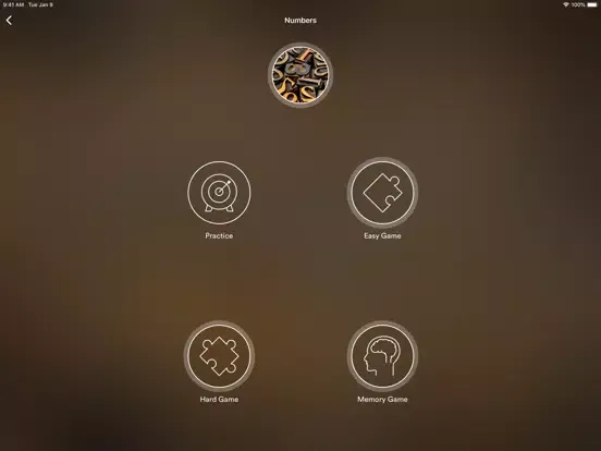 Learn Modern Standard Arabic iPad  Ekran Görüntüleri