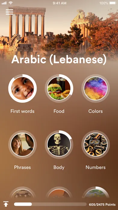 Learn Lebanese Arabic Screenshots