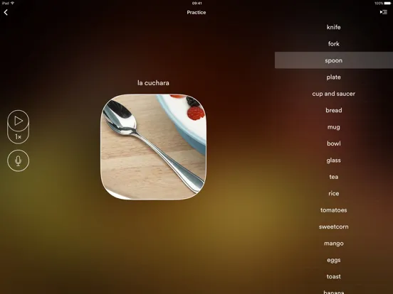 Captures d'écran de Go Talk - Learn languages iPad 