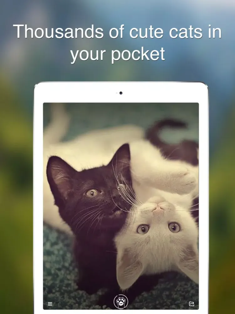Purr Cat - Cutest cat pics, photos and wallpapers iPad  Ekran Görüntüleri
