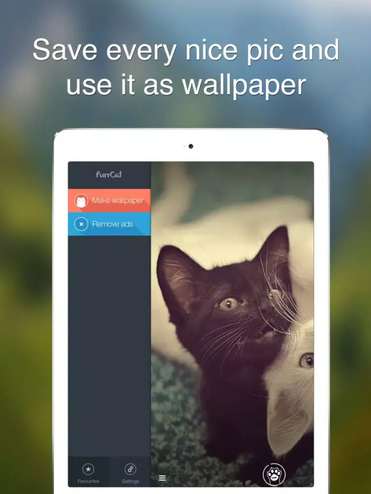 Purr Cat - Cutest cat pics, photos and wallpapers iPad  Ekran Görüntüleri