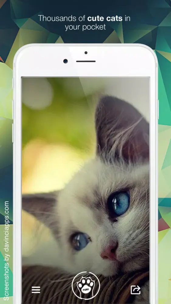 Purr Cat - Cutest cat pics, photos and wallpapers Ekran Görüntüleri