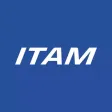 Michelin ITAM 2020