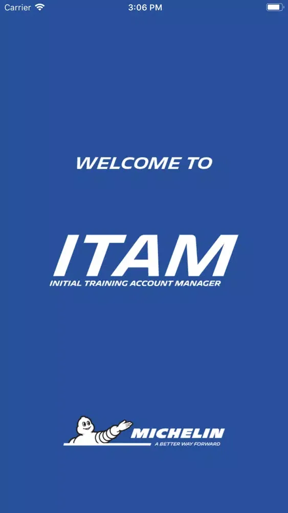 Michelin ITAM 2020应用截图