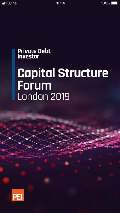 Скриншоты PDI Capital Structure Forum 19