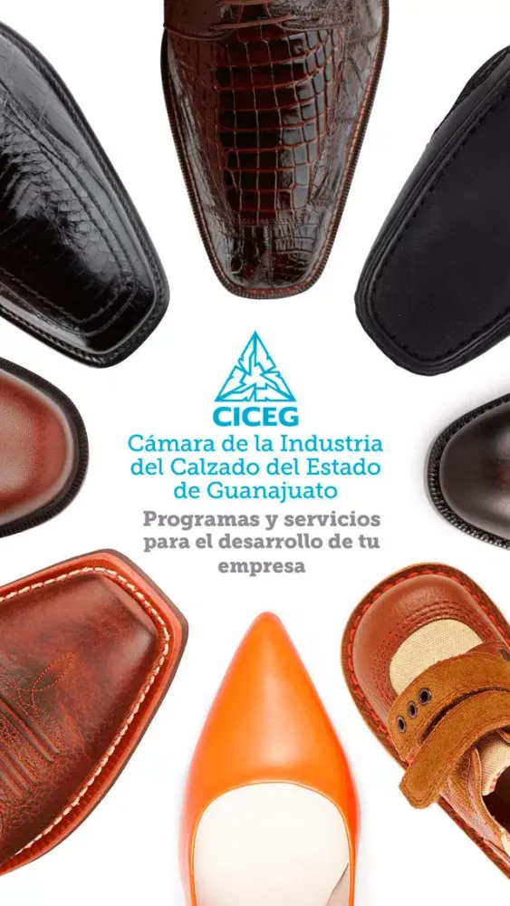 Cámara del Calzado应用截图