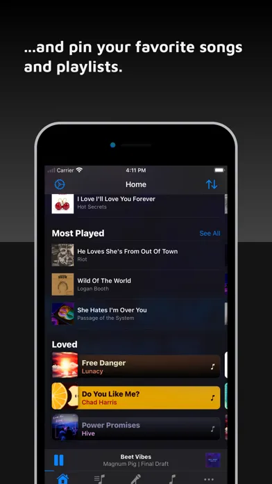 Ảnh chụp màn hình của Power Player Music Player