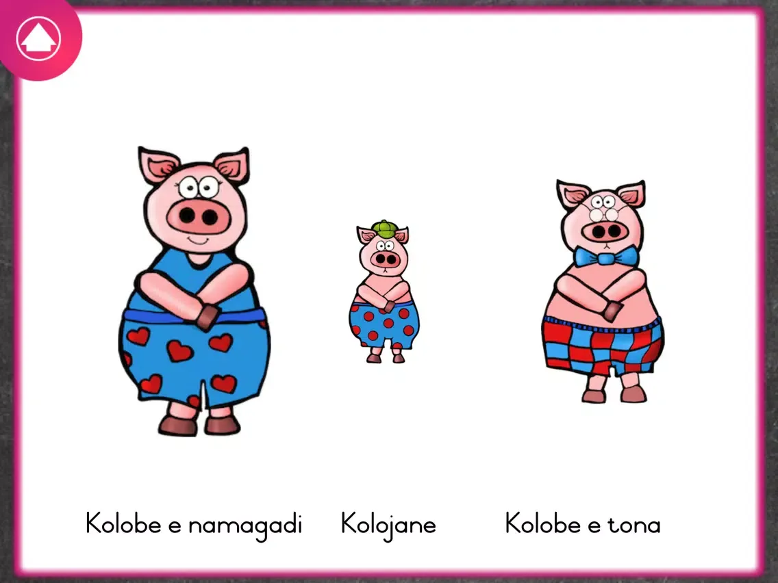 Xander Tswana Animals iPad 應用截圖