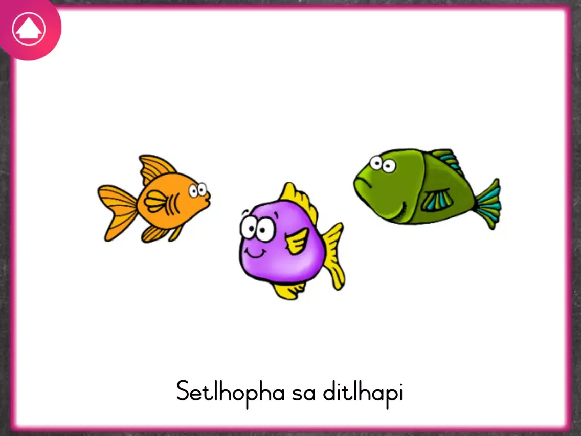 Xander Tswana Animals iPad 應用截圖
