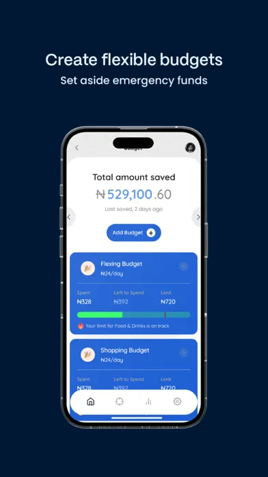 Screenshot di EverydayMoney - Budget & Spend