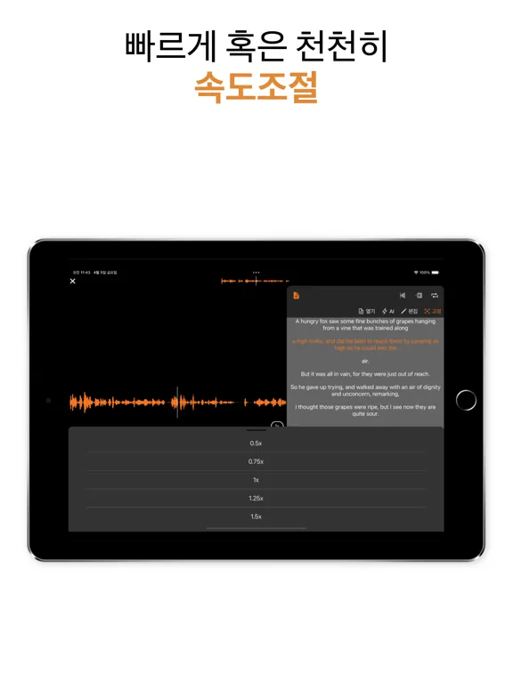 Listen Repeat - 영어듣기 쉐도잉 플레이어 iPad  Screenshots