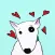 Lola The Bull Terrier