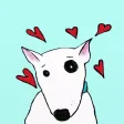 Lola The Bull Terrier Lola The Bull Terrier