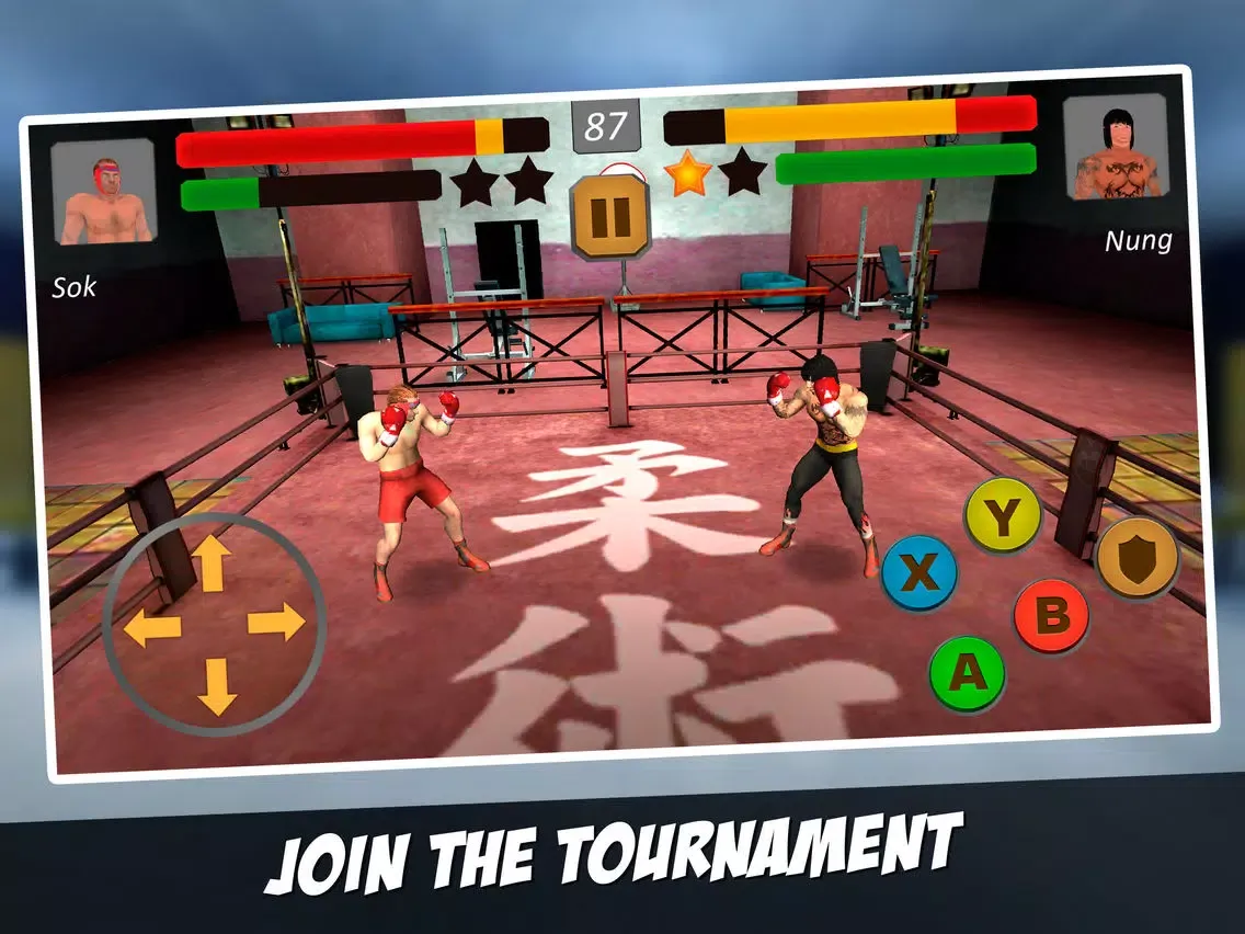 Ninja Boxer Punch Fighting 3D iPad  Screenshots