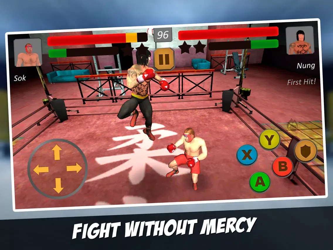 Ninja Boxer Punch Fighting 3D iPad  Screenshots
