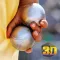 Petanque Simulator 2017