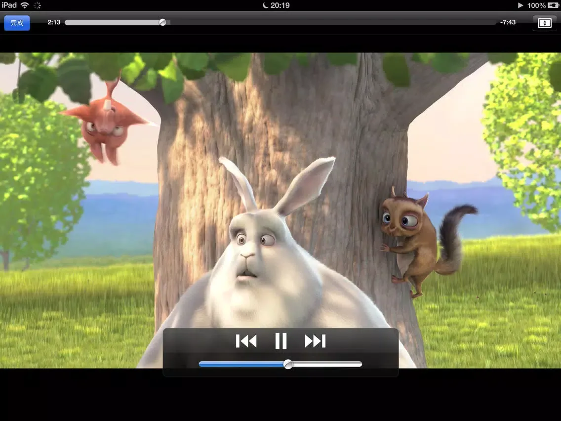 Ảnh chụp màn hình của eVideo WiDiSK iPad 